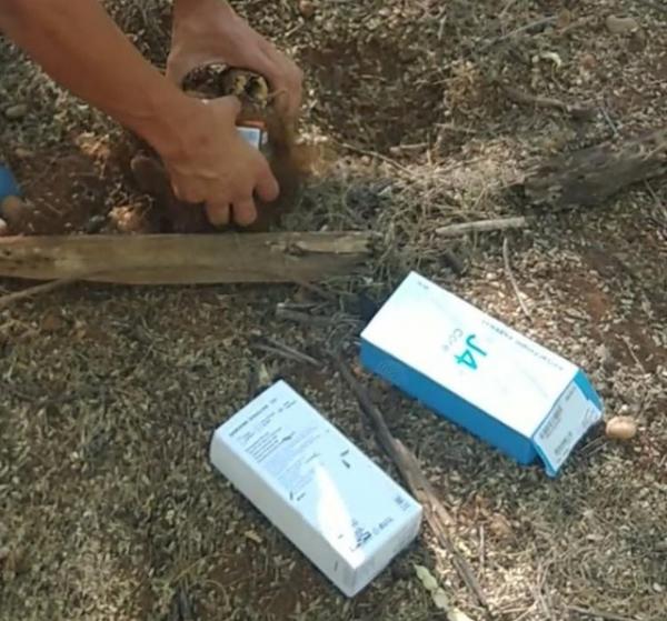 Polícia localiza celulares furtados de loja enterrados em matagal no Sul do Piauí