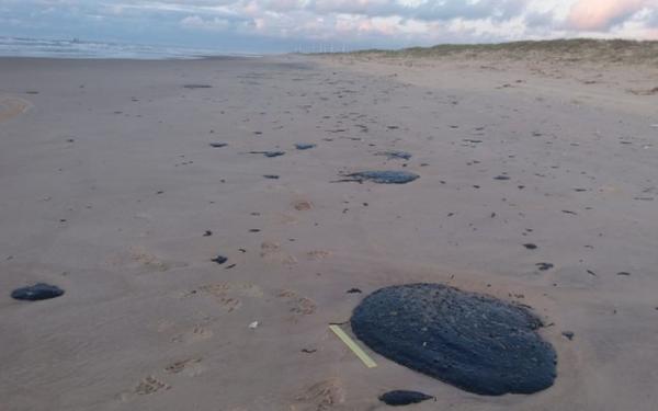 Manchas de óleo atingem 99 locais no litoral do Nordeste e origem é petróleo que não é do Brasil