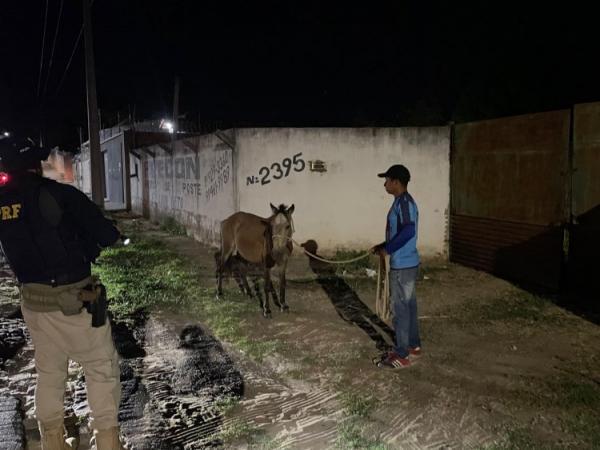 Sa&uacute;de e PRF realizam a&ccedil;&atilde;o de seguran&ccedil;a nas rodovias de Floriano(Imagem:Secom)