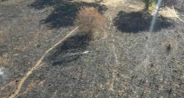 Bombeiros apagam incêndio florestal no Parque Nacional Serra das Confusões, no Sudeste do Piauí