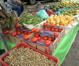 Fiscais da Prefeitura retiram banca de verduras de passeio público em Floriano