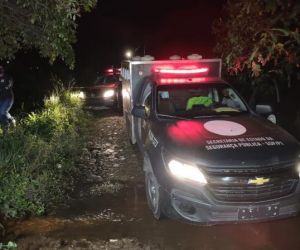 Cachorro enrolado em lençol é confundido com morto e mobiliza polícias no Piauí