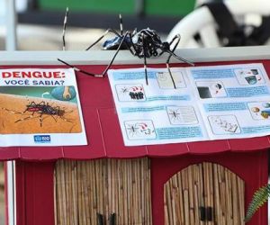 Dengue: cuidados necessários para combater o Aedes aegypti
