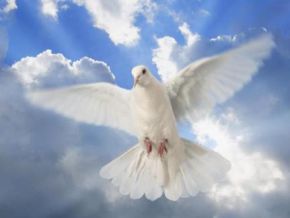 CONVITE: missa de 7º dia do Sr. Zeca da oficina