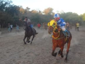 Festa dos vaqueiros é comemorada com corrida de cavalos em Nazaré