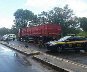 PRF apreende caminhão com 12 toneladas de madeira ilegal