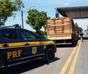 Madeira ilegal apreendida cobriria 700 casas; lucro chegava a R$ 5 milhões
