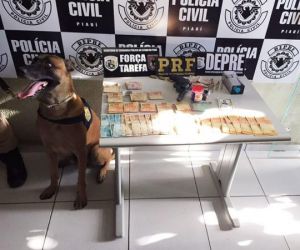 Cães encontram drogas e munição durante prisão de suspeitos na Zona Leste