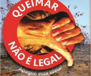 Focos de incêndios chamam atenção para controle de queimadas em Floriano