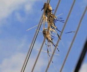 Ocorrências com pipas na rede elétrica aumentaram 10 vezes no Piauí em 2021