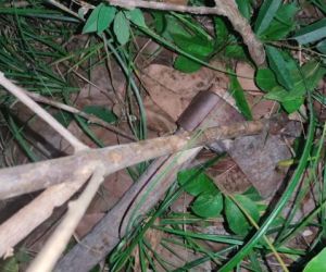 Suspeito de matar amigo com golpes de machado após confusão é preso no Norte do Piauí