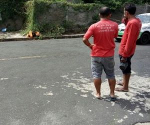 Polícia e IML são acionados após população confundir cão morto com cadáver humano