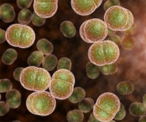 Teresina registrou 47 casos de meningite em 2019 e FMS descarta surto