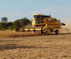 Quadrilha faz vigia de refém e leva R$ 1 milhão de fazenda de soja