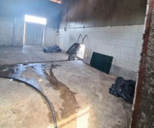 Prefeitura intensifica fiscalizações de produtos de origem animal em Floriano
