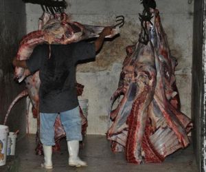 População consome carne sem inspeção sanitária no interior do Piauí