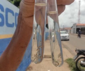 Agentes alertam para quantidade de larvas da dengue encontradas em residências