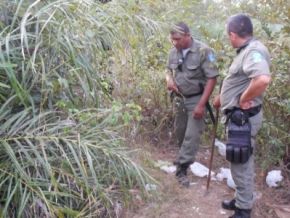 Polícia Militar apreende produtos usados para o tráfico de drogas em José de Freitas