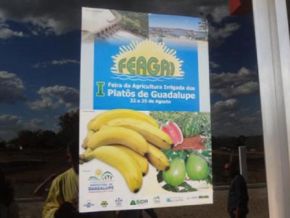 Governador Wilson Martins visita I FEAGRI em Guadalupe