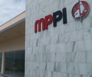 Ministério Público do PI denuncia empresa por crime ambiental