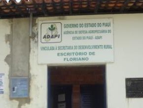ADAPI apreende em Floriano grande quantidade de pescado transportado de forma irregular