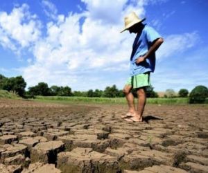 Mesmo com as chuvas, cidades do Piauí ainda sofrem com a estiagem