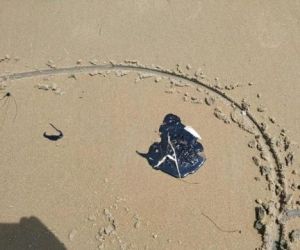 Litoral do Piauí é o menos afetado com manchas de óleo, diz Capitania