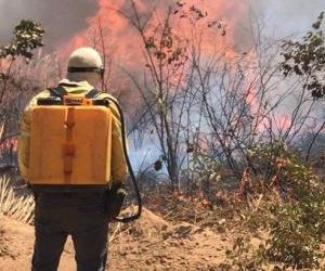 Focos de incêndios aumentam mais de 190% no Piauí e Bombeiros fazem alerta