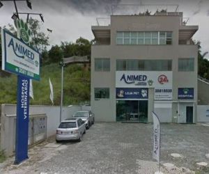 Clínica congelava animais mortos para cobrar internação