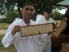Colheita de Mel é Realizada na Fazenda do Colégio Agrícola de Floriano