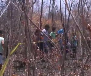 Cães encontram corpo de homem com genitais mutilados em matagal