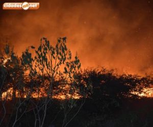 Incêndio atinge plantação no interior do Piauí
