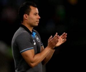 Botafogo enfrenta o Palmeiras para encaminhar classificação à Libertadores