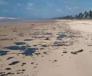 Sobe para 124 número de praias contaminadas por manchas de óleo