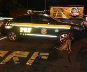 Carga de fumo é apreendida sendo transportada ilegalmente na BR-343
