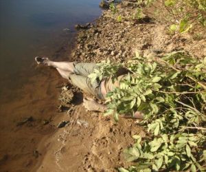 Corpo é encontrado por pescadores no Rio Parnaíba, em Floriano