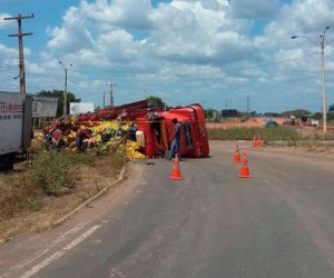 Caminhão carregado de maracujá tomba e espalha frutas na pista