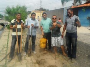 Voluntários realizam plantio de árvores na Avenida Fauzer Bucar