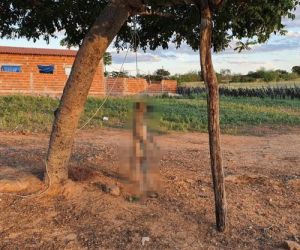 Idoso mata cadela enforcada em praça pública no Sul do Piauí
