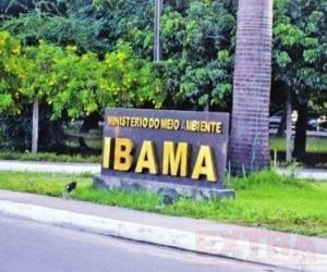 Concurso: Ibama deve abrir 1.888 vagas e salário até R$ 7,7 mil
