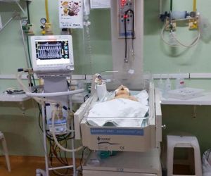 CRM flagra baratas e falta de leitos para bebês na maternidade dona Evangelina Rosa