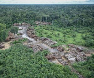 Estudo da Nasa vê Amazônia mais seca e vulnerável