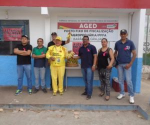 Servidores realizam ato e distribuem bananas em frente à AGED de Barão de Grajaú