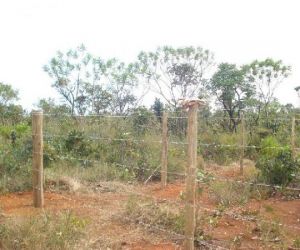 Adolescente morre eletrocutado em cerca na zona rural de Barras