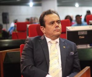 Deputados cobram ação do DER para retirar animais nas rodovias