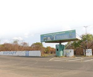 Exames de cavalos do Parque de Exposição dão negativo para mormo