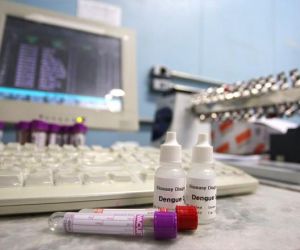 Piauí sofre desabastecimento de testes rápidos de dengue