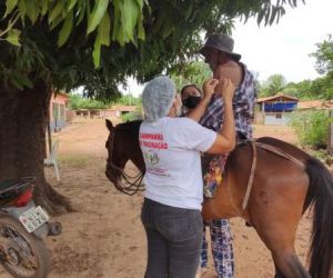 Montado em cavalo, idoso de 98 anos recebe vacina contra Covid no Piauí