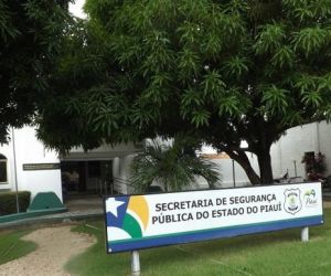 Segurança reúne delegados para traçar novas estratégias