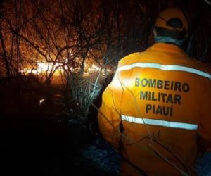 Bombeiros do Piauí combatem incêndio na divisa com o Ceará há mais de dez dias